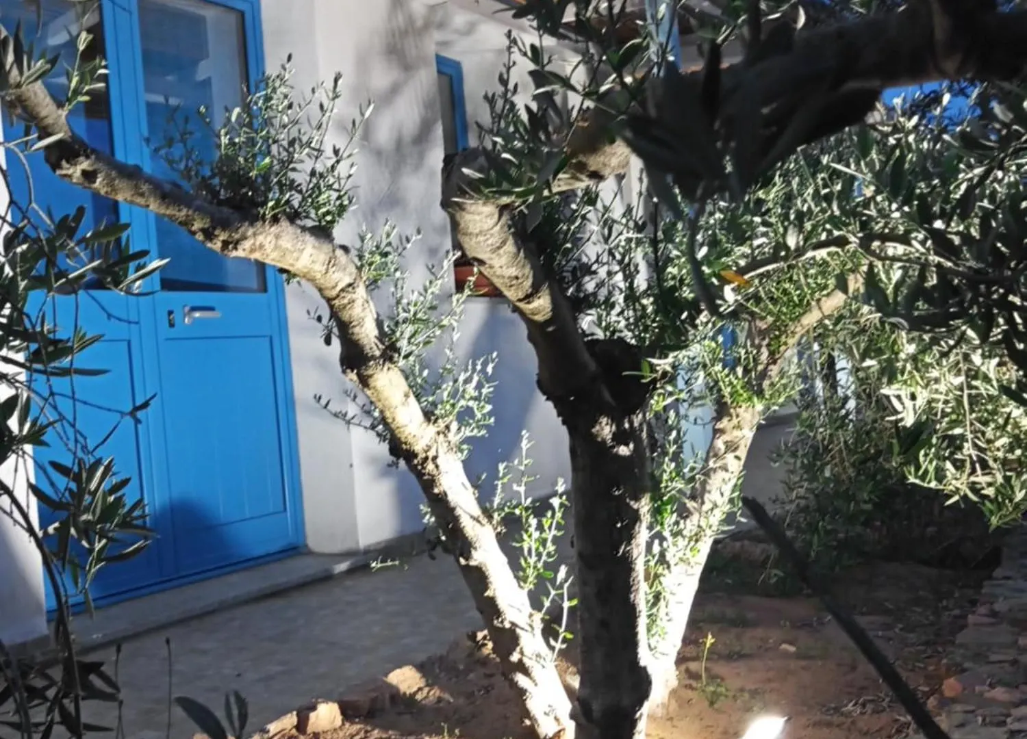 Guest house B&B S'Incantu Sant'Anna Arresi